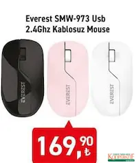 EVEREST SMW-973 USB 2.4GHZ KABLOSUZ MOUSE fiyat ve kampanya bilgisi